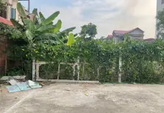 Đất nền đắc địa trung tâm Gia Đông, Thuận Thành, Bắc Ninh... Bán đất tại Thuận Thành, Bắc Ninh 05