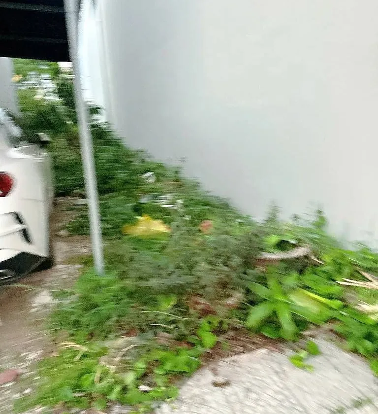Cơ hội sở hữu lô đất vàng hướng Đông Nam giá trị hiếm có tại Đầm Sen... Bán đất tại Ngũ Hành Sơn, Đà Nẵng 01