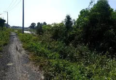 Bán nhà riêng diện tích lớn tại xã Xuân Thới Sơn, Hóc Môn... Bán nhà riêng tại Xuân Thới Sơn, Hồ Chí Minh 15