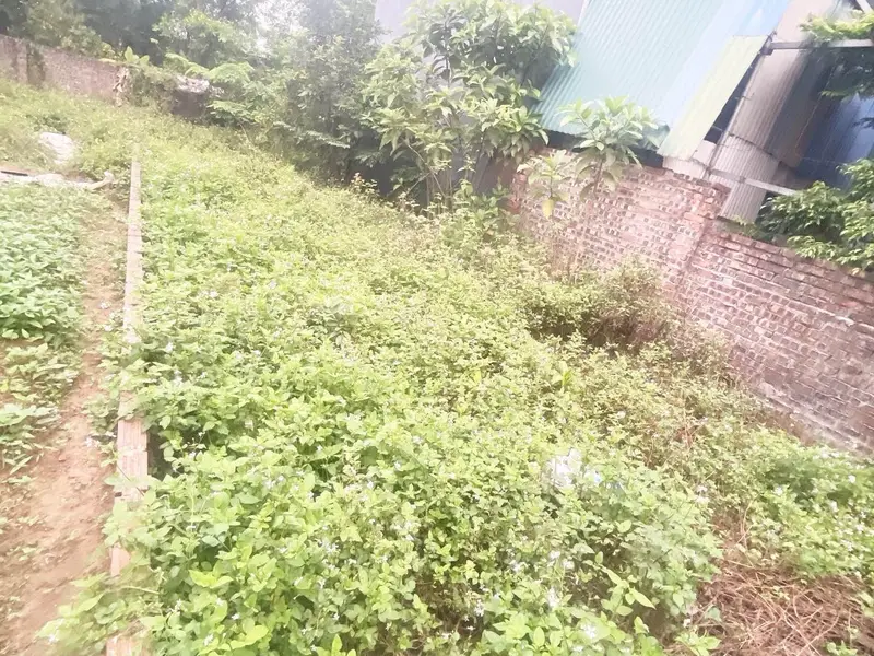 Bán đất 89,8m2 tại Bến Trung Bắc Hồng giá 3,42 tỷ đồng... Bán đất tại Phúc Thịnh, Hà Nội 01
