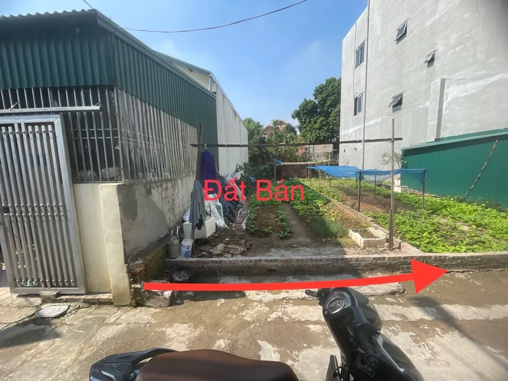 Đất đẹp ngõ ô tô Kiêu Kỵ – Cơ hội đầu tư vàng... Bán đất tại Gia Lâm, Hà Nội 01