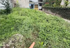 Cơ Hội Có 1 Không 2: Lô Góc Kinh Doanh Trên Đường Ô Tô Tránh, Gần Hồ Điều Hòa Vin Olympic... Bán đất tại Nam Phù, Hà Nội 04