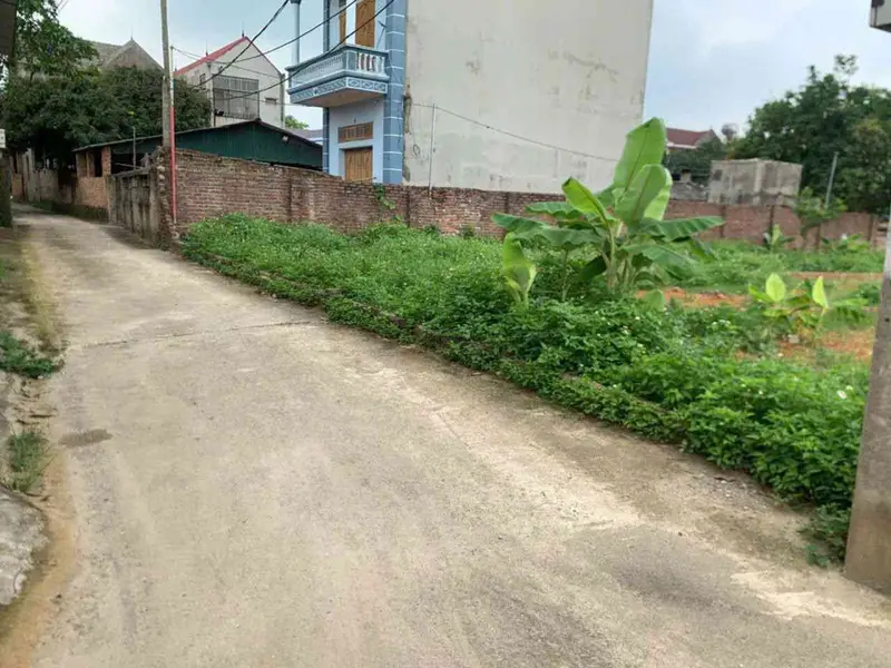 Bán đất 96.8m² tại Tân Minh, Sóc Sơn - Giá chỉ 1.750 tỷ VNĐ... Bán đất tại Sóc Sơn, Hà Nội 01