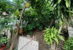 Bán đất 120m² tại xã Cao Xanh, hướng tây nam, ngõ ôtô rộng gần tiện ích... Bán đất tại Cao Xanh, Quảng Ninh 03
