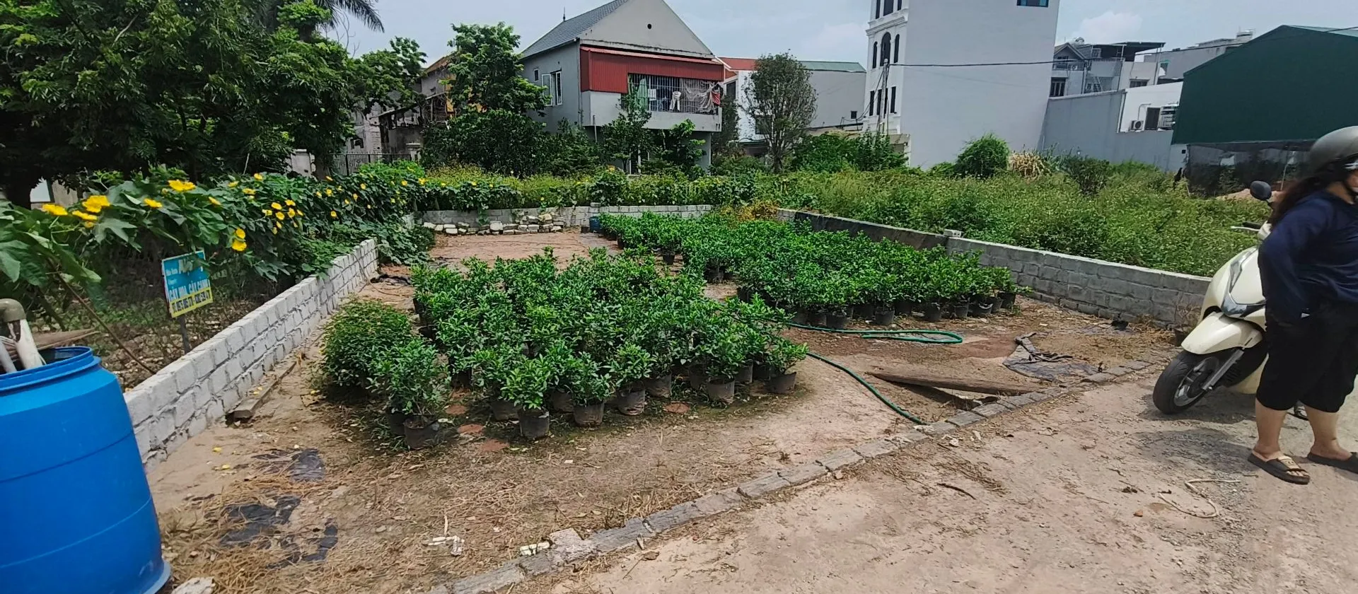 Bán đất thôn 7 Xuân Quan, Văn Giang, Hưng Yên - Đất kinh doanh, ô tô tải tránh, đầu tư tiềm năng... Bán đất tại Văn Giang, Hưng Yên 01