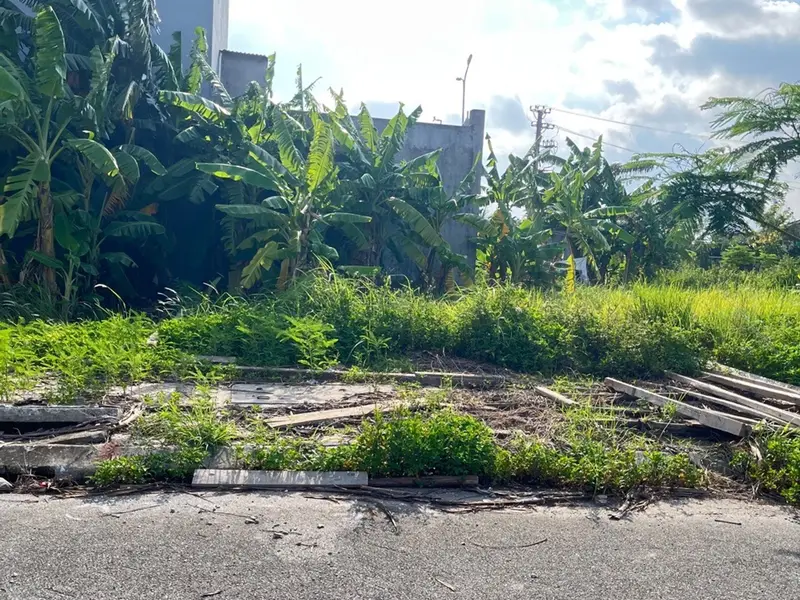 Cơ hội vàng sở hữu đất TĐC Tràng Cát mặt tiền rộng, vị trí đắc địa... Bán đất tại Hải An, Hải Phòng 01