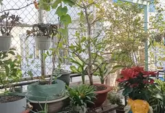 Nhà 4 tầng phố Bà Hạt, ô tô vào nhà, giá tốt... Bán nhà riêng tại Hòa Hưng, Hồ Chí Minh 14