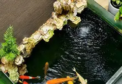 Nhà 4 tầng hiện đại có sân ô tô, giá tốt tại khu trung tâm... Bán nhà riêng tại Từ Sơn, Bắc Ninh 08