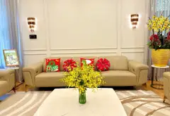 Bán biệt thự 4 lầu, lô góc 2 mặt tiền Nguyễn Trọng Tuyển, 175m2, ngang 8m... Bán nhà riêng tại Tân Sơn Hòa, Hồ Chí Minh 04