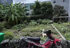 Lô đất 54m² tại phường phù Liễn, Kiến An, vị trí thuận tiện di chuyển... Bán đất tại Phù Liễn, Hải Phòng 03