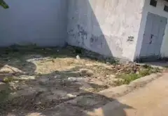 Lô đất mặt tiền 7m vuông vắn tại xã Lâm Động, thích hợp xây dựng và đầu tư... Bán đất tại Thủy Nguyên, Hải Phòng 11