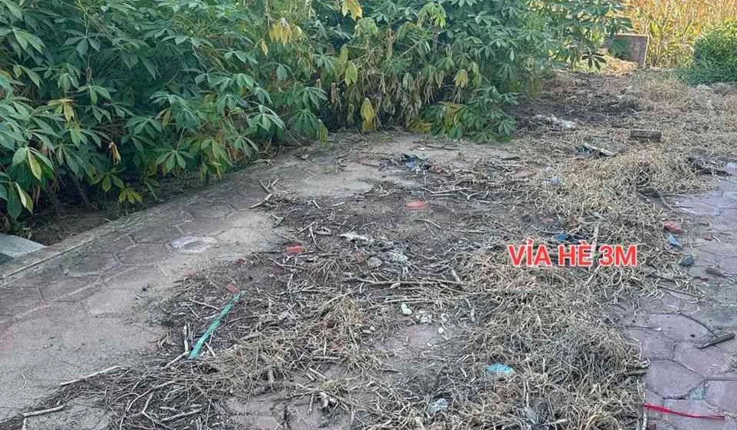 Bán đất phân lô mặt tiền 7m tại khu vực sầm uất, ô tô tránh, vỉa hè rộng... Bán đất tại Triệu Việt Vương, Hưng Yên 01