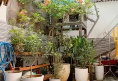 Bán nhà riêng 1 tầng 100m² tại trung tâm Cẩm Lệ, hướng Đông Nam, giá ưu đãi... Bán nhà riêng tại Cẩm Lệ, Đà Nẵng 04