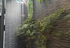 Nhà đẹp mới xây BTCT 5tầng full nội thất... Bán nhà riêng tại Bình Hưng Hòa, Hồ Chí Minh 15