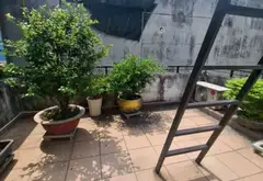 MẶT TIỀN KINH DOANH SẦM UẤT, 100M2 SỔ VUÔNG VẮC HOA HẬU, NHỈNH 12 TỶ... Bán nhà mặt phố tại Tân Tạo, Hồ Chí Minh 14