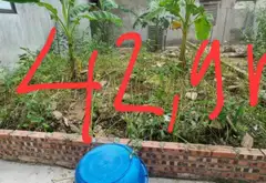 Cơ Hội Sở Hữu Lô Đất Trung Tâm Đình Bảng, Từ Sơn, Bắc Ninh với Giá Tốt... Bán đất tại Từ Sơn, Bắc Ninh 03