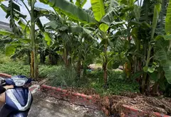 Đất đẹp gần KCN Quế Võ - Sổ đỏ sẵn giao dịch... Bán đất tại Quế Võ, Bắc Ninh 04