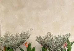 Nhà Mặt Tiền Hòa Cường Đẳng Cấp 3 Tầng Kiên Cố... Bán nhà mặt phố tại Hòa Cường, Đà Nẵng 10