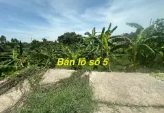 Đầu Tư Thông Minh Tại Tiên Dược - Đất Rộng Đẹp Chờ Chủ Mới!... Bán đất tại Sóc Sơn, Hà Nội 04