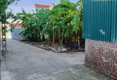 Đất hiếm ngõ nông, ôtô vào tận nơi, tiện ích đầy đủ... Bán đất tại Nội Bài, Hà Nội 03