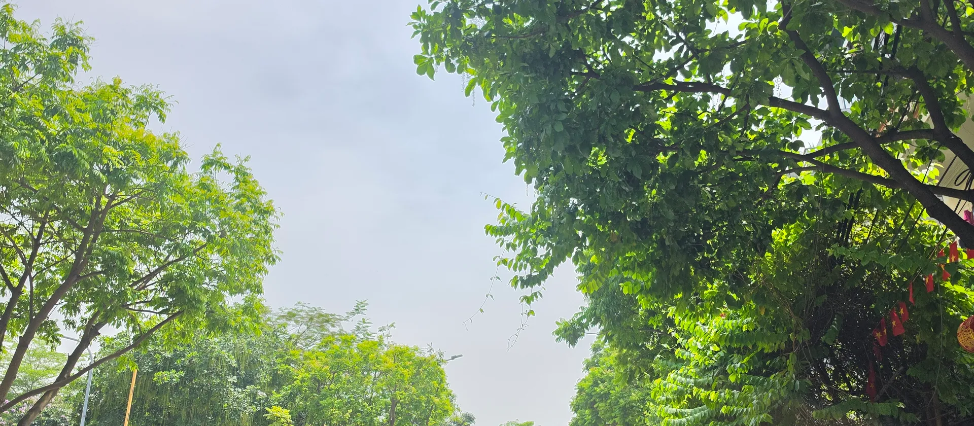 SIÊU PHẨM MẶT PHỐ TÔ HIỆU HÀ ĐÔNG – GIÁ F0 HỢP LÝ NHẤT PHỐ – KINH DOANH ĐỈNH... Bán nhà mặt phố tại Hà Đông, Hà Nội 01