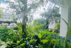 Bán nhà Ngang 5,5m tầng 80m2 khu Phú Nhuận chỉ nhỉnh 11ty Giá Rẻ nhất khu vực!!... Bán nhà riêng tại Phú Nhuận, Hồ Chí Minh 09