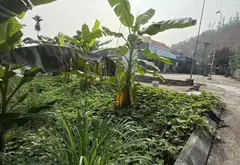 Cơ hội vàng sở hữu siêu phẩm đất lô góc mặt ngõ rộng ô tô vào tận nơi... Bán đất tại Thủy Nguyên, Hải Phòng 06