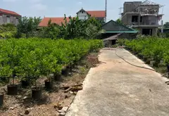 Đất siêu hiếm Văn Giang, oto vào tận nơi, cơ hội đầu tư đỉnh... Bán đất tại Văn Giang, Hưng Yên 09