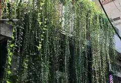 Nhà Nguyễn Trãi Quận 1 - Vị trí vàng, đầu tư đỉnh... Bán nhà riêng tại Cầu Ông Lãnh, Hồ Chí Minh 02