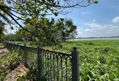 Khu Đất Đặc Quyền Ven Sông Long Phước Quận 9 Với Mặt Tiền 270m... Bán đất tại Long Phước, Hồ Chí Minh 01