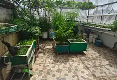 Bán nhà mặt phố 4 tầng, 71.5m2, Phú Thạnh, Tân Phú giá 9.2 tỷ... Bán nhà mặt phố tại Phú Thạnh, Hồ Chí Minh 14