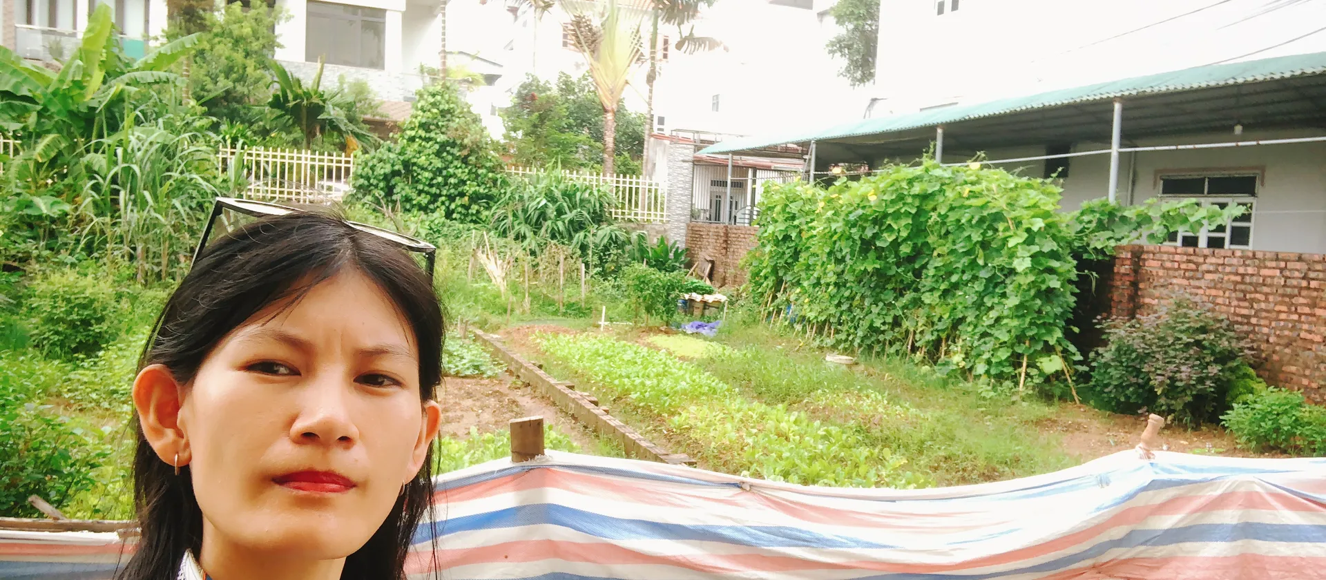 🔆Bán đất lô góc 115m2 nở hậu Xuân Bách - Nội Bài - Sóc Sơn kinh doanh ra tiền ô tô tránh... Bán đất tại Nội Bài, Hà Nội 01