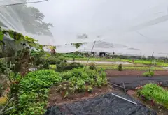 Bán nhanh lô đất rộng lớn tại Hóc Môn, vị trí vàng chỉ cách chợ 300m... Bán đất tại Đông Thạnh, Hồ Chí Minh 05