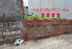 Đất vàng sát KCN Yên Phong, tiện ích đỉnh... Bán đất tại Yên Trung, Bắc Ninh 02