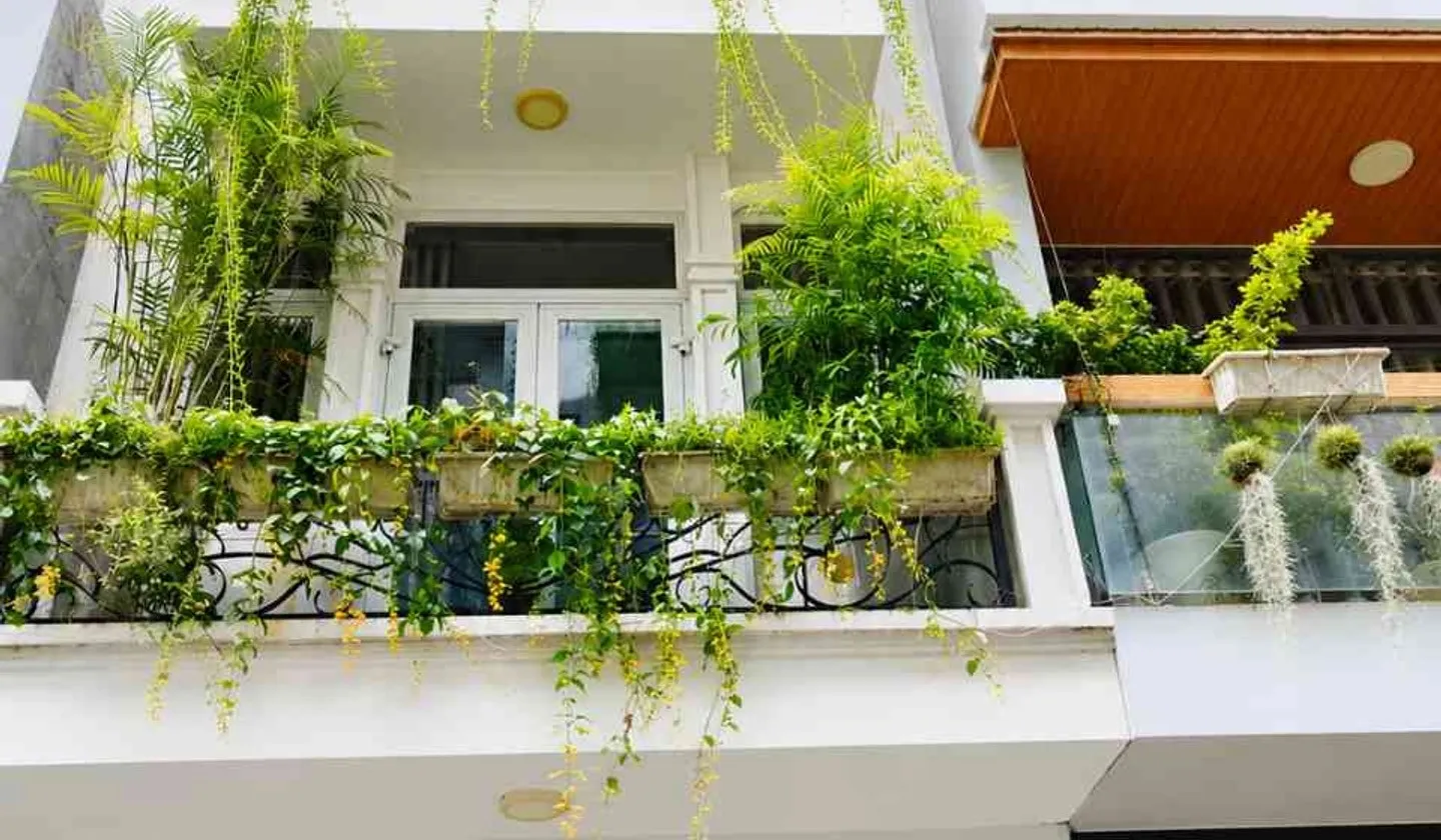 NGAY KHU CAO CẤ.P NGUYỄN HỮU DẬT -TÂN PHÚ -NỞ HÂU -70M2 -9.XT=0906+14+0207... Bán nhà riêng tại Tây Thạnh, Hồ Chí Minh 01
