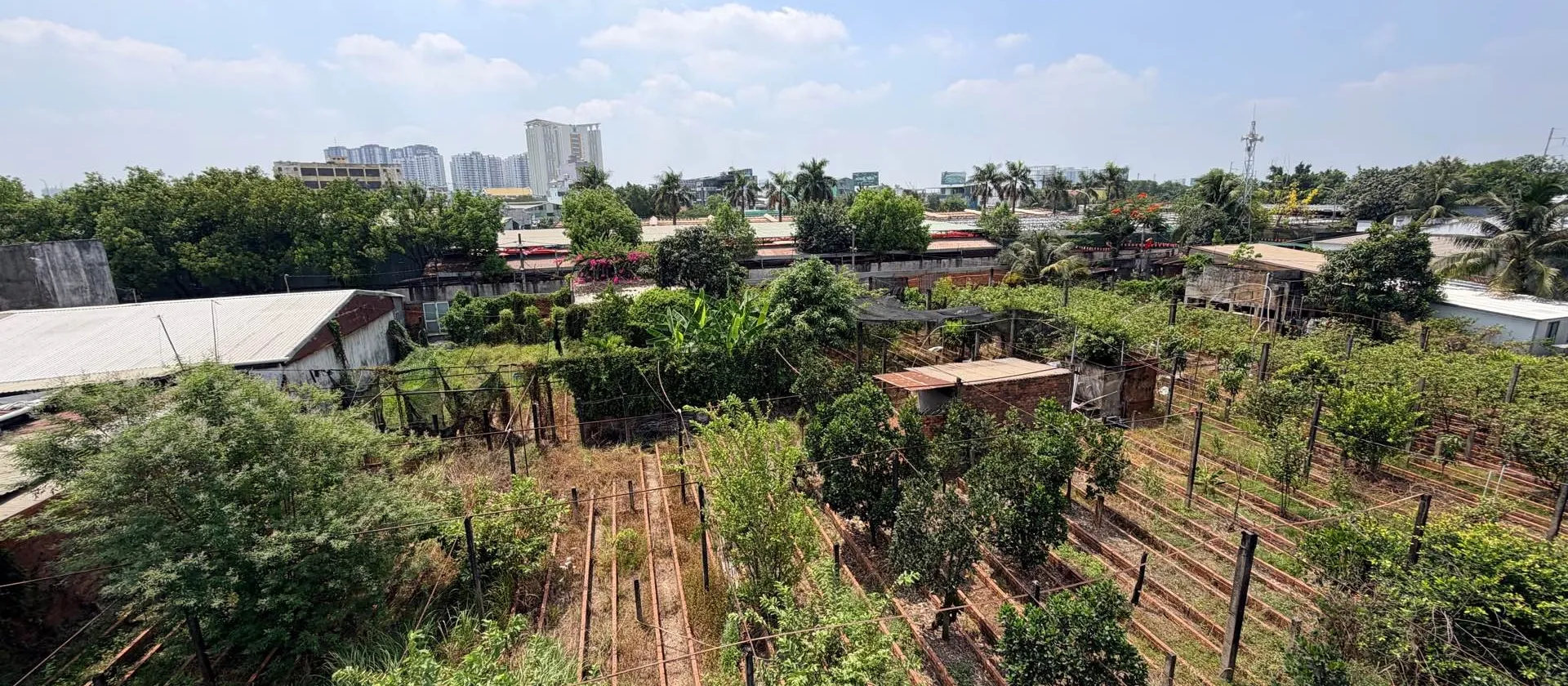 Nhà rộng 494m2 mặt tiền 8m, quận Bình Chánh, vị trí vàng tiện kinh doanh... Bán nhà riêng tại Tân Nhựt, Hồ Chí Minh 01