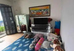 Bán nhà riêng 49m² Hồng Bàng, Quận 11 - Hẻm xe hơi, vị trí đắc địa, giá 7.3 tỷ... Bán nhà riêng tại Minh Phụng, Hồ Chí Minh 16