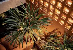 PHÂN LÔ- MỚI ĐẸP THIẾT KẾ CHÂU ÂU- DÒNG TIỀN TỐT- LÔ GÓC 3 THOÁNG - SIÊU HIẾM... Bán nhà riêng tại Phương Liệt, Hà Nội 12
