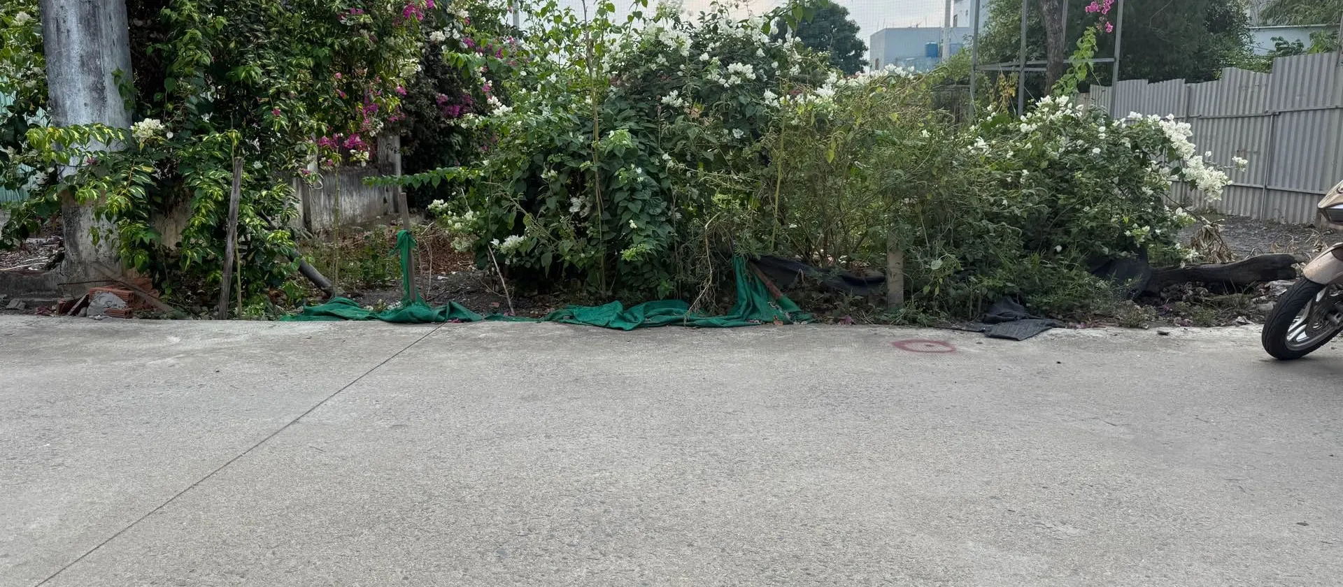 Bán đất tại phường Tân Đông Hiệp diện tích 148.8m² hướng Đông Bắc, giá 3.95 tỷ đồng... Bán đất tại Tân Đông Hiệp, Hồ Chí Minh 01