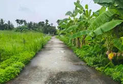Lô đất vị trí thuận lợi tại phường Thiên Hương, Hải Phòng... Bán đất tại Thiên Hương, Hải Phòng 10