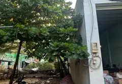 Đất thổ cư hiếm có giá tốt ở Tân Tạo Bình Tân... Bán đất tại Tân Tạo, Hồ Chí Minh 05