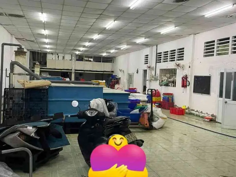 Bán kho xưởng 324m² mặt tiền 13m tại phường Thới An, Quận 12, giá 15 tỷ đồng... Bán kho, nhà xưởng tại Thới An, Hồ Chí Minh 01