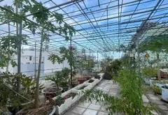 Bán toà nhà 2 mặt tiền Lũy Bán Bích diện tích 300m2 giá 33.5 tỷ... Bán nhà riêng tại Tân Phú, Hồ Chí Minh 08