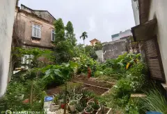 Bán đất tại Đông Ngạc, diện tích 236m2, pháp lý rõ ràng, giá 22,4 tỷ đồng... Bán đất tại Đông Ngạc, Hà Nội 06