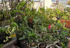 GẦN CHỢ ÔNG ĐỊA - KHU AN NINH YÊN TĨNH - 5 TẦNG BTCT... Bán nhà riêng tại Tân Hòa, Hồ Chí Minh 11
