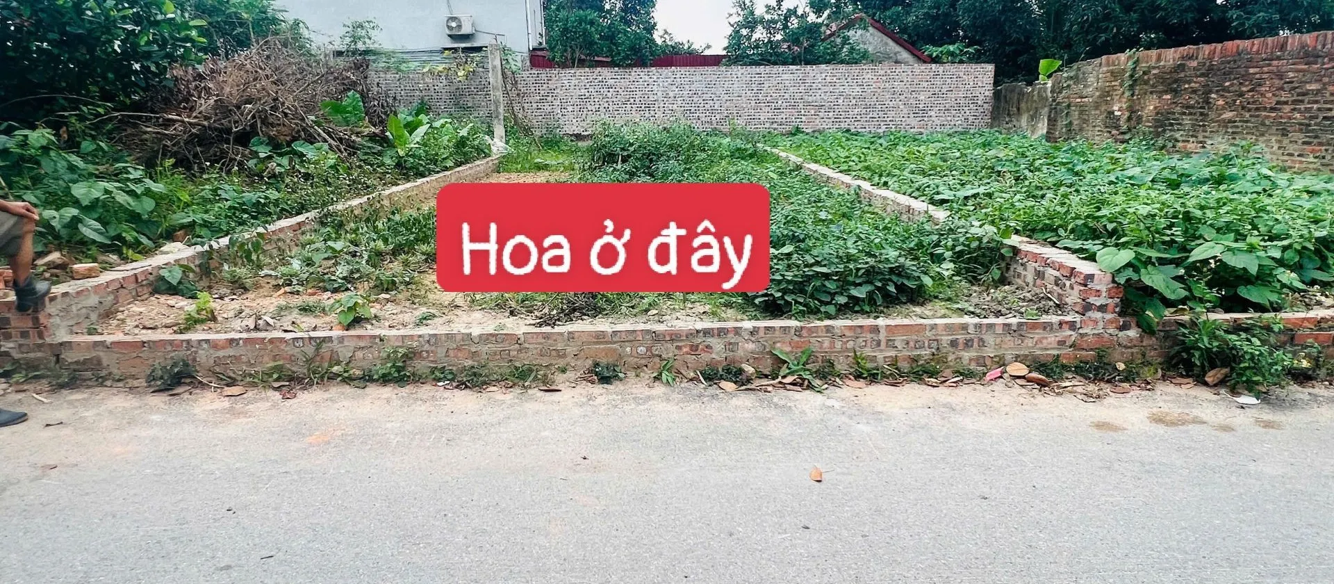 Đất sân bay Vệ Linh giá cực tốt, sát Võ Nguyên Giáp... Bán đất tại Sóc Sơn, Hà Nội 01