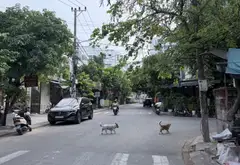 Nhà mặt phố Doãn Uẩn 2 tầng, vị trí vàng kinh doanh đỉnh, cơ hội không thể bỏ lỡ... Bán nhà mặt phố tại Ngũ Hành Sơn, Đà Nẵng 03