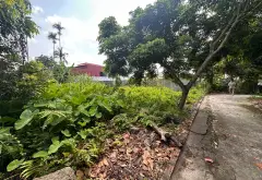 Đất Vuông Vắn Mặt Tiền Rộng Gần Cổng Sau KCN Tràng Duệ 3, Tiềm Năng Phát Triển Cao... Bán đất tại An Lão, Hải Phòng 11
