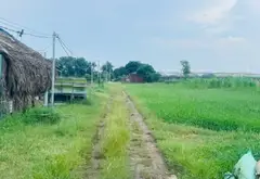 Bán đất 1453m đất vườn Xuân Thới Thượng, Hóc Môn, 3.x... Bán đất tại Bà Điểm, Hồ Chí Minh 06