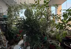 Nhà Riêng 5 Tầng Sang Trọng tại Phường 9, Tân Bình... Bán nhà riêng tại Tân Hòa, Hồ Chí Minh 13